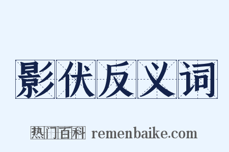 影伏反义词是什么意思的图片